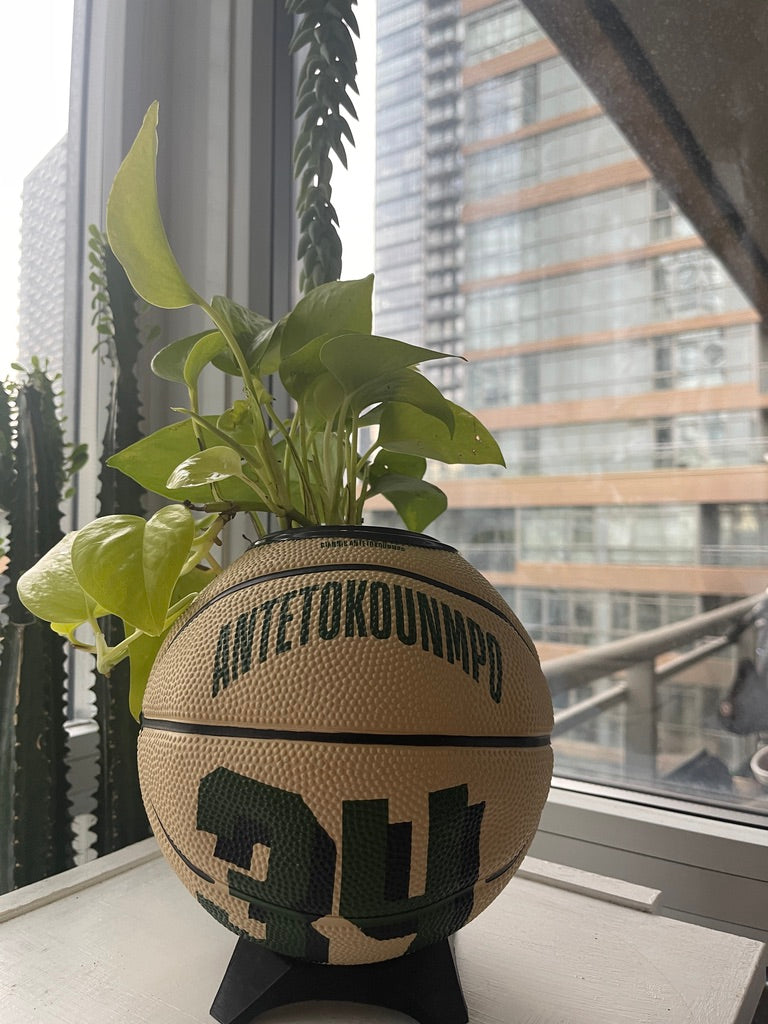 Mini Basketball Planter (Giannis Antetokounmpo)