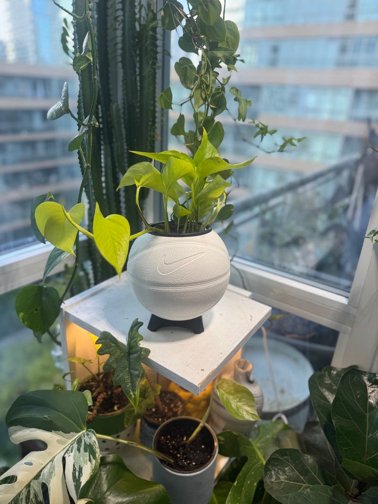 Nike Mini Basketball Planter (White)