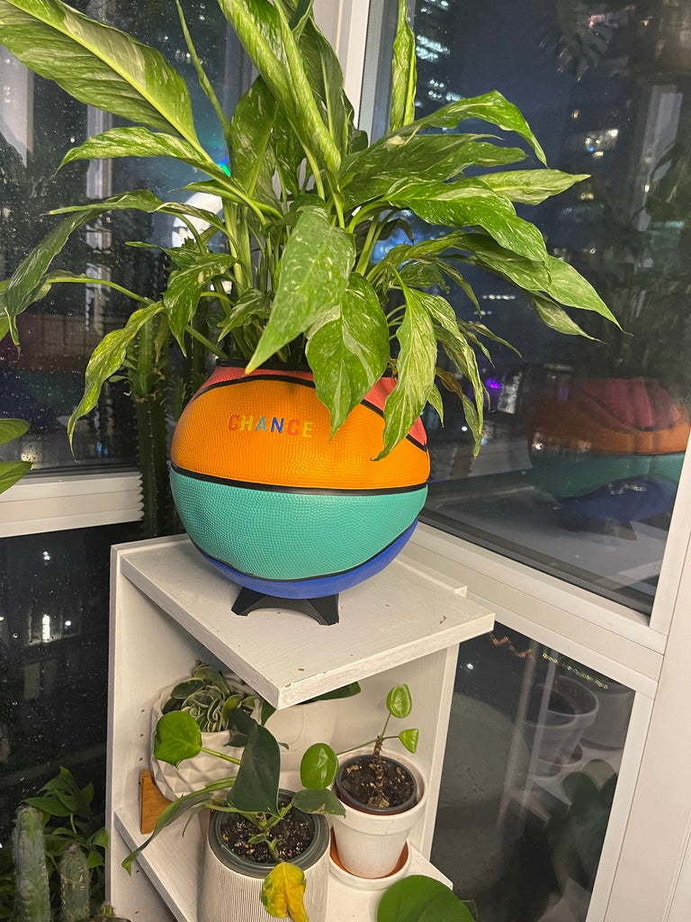 Large Basketball Planter (Chance - Rainbow)