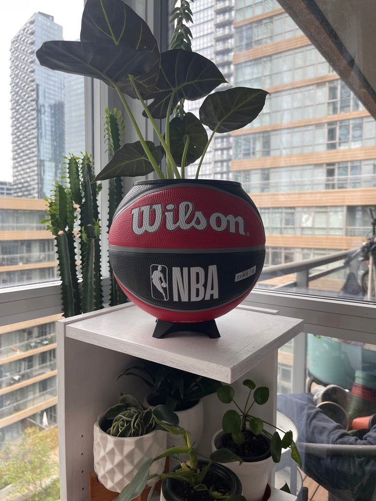 Large Basketball Planter (Toronto Raptors)