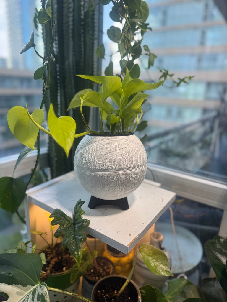Nike Mini Basketball Planter (White)