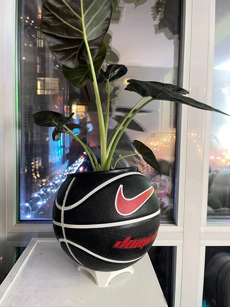 Nike Large Basketball Planter (Red Dominate)