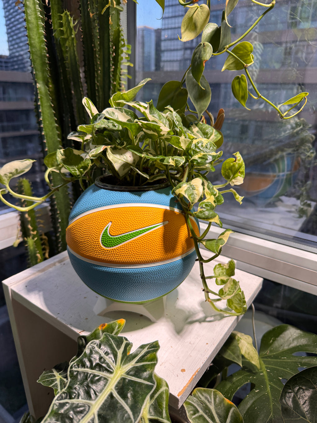 Nike Mini Basketball Planter (Blue Sunshine)