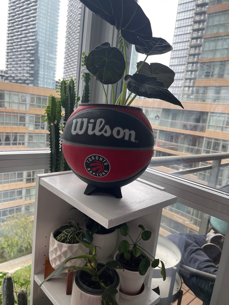 Large Basketball Planter (Toronto Raptors)