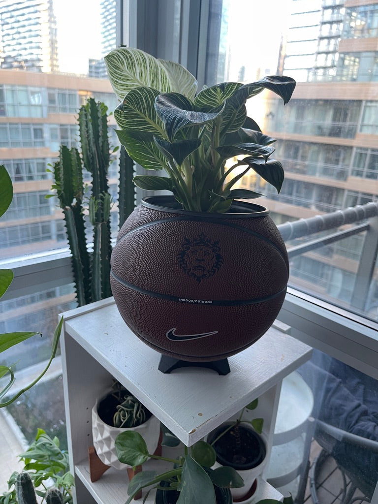 Nike Large Basketball Planter (LeBron Brown)