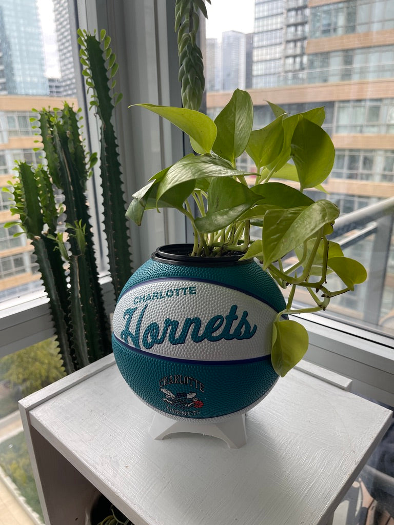 Mini Basketball Planter (Charlotte Hornets)