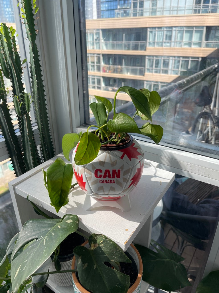 Mini Soccer Ball Planter (Canada)