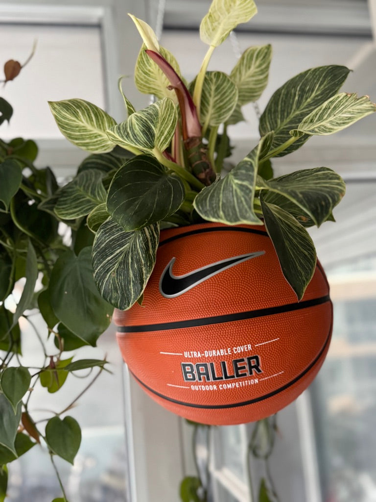 Nike Large Basketball Hanging Planter (Baller - Silver Chain)