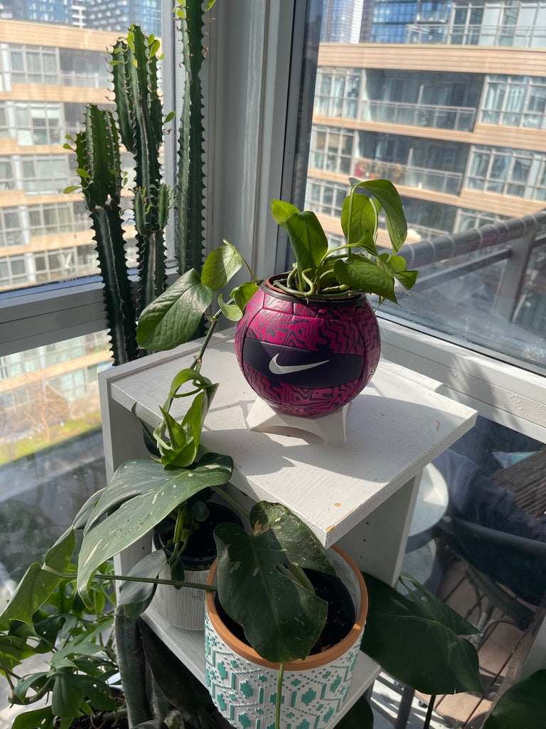 Nike Mini Volleyball Planter (Grape Juice)
