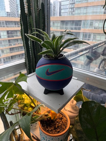 Nike Mini Basketball Planter (Blue Volt)