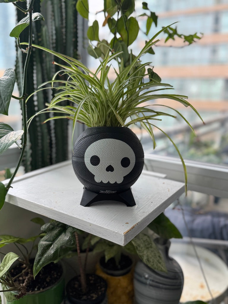 Ultra-Mini Basketball Planter (Skeleton)