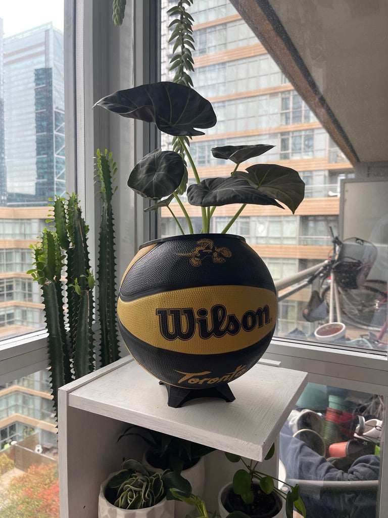 Large Basketball Planter (Toronto Raptors Gold Mascot)