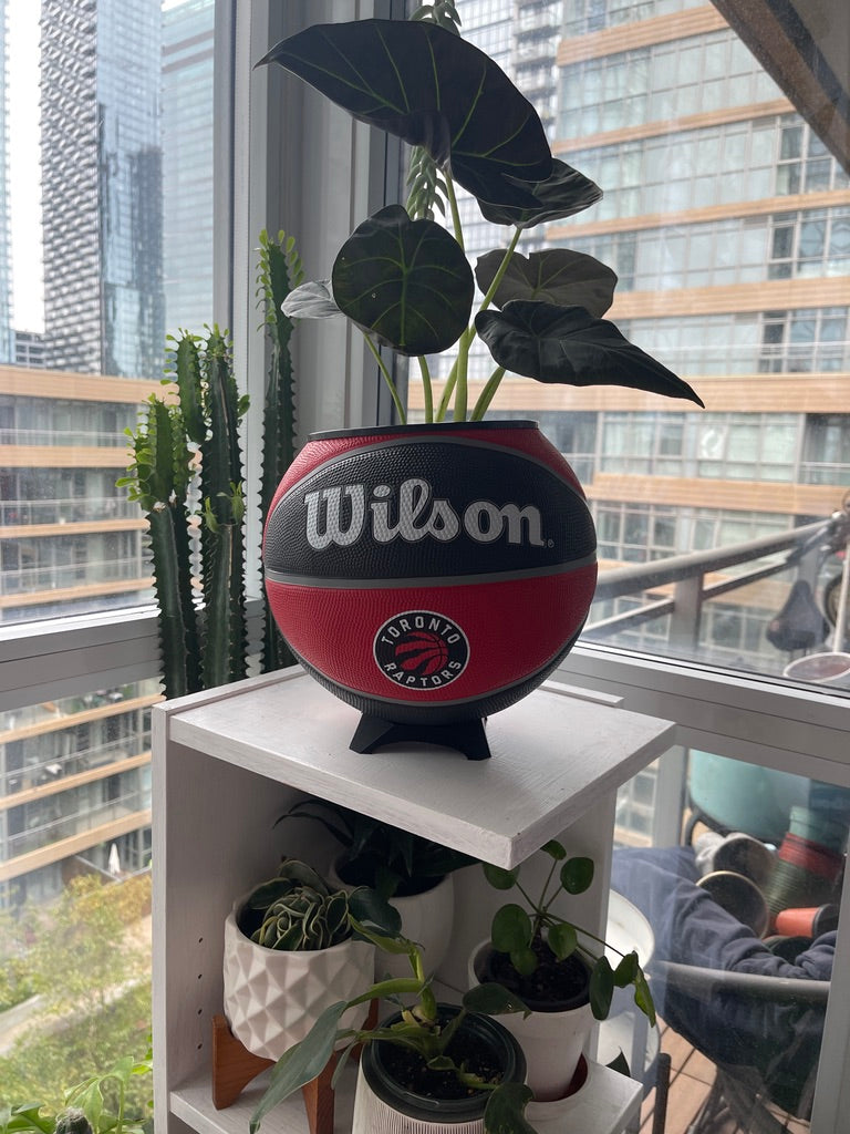 Large Basketball Planter (Toronto Raptors)