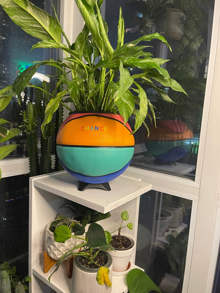 Large Basketball Planter (Chance - Rainbow)