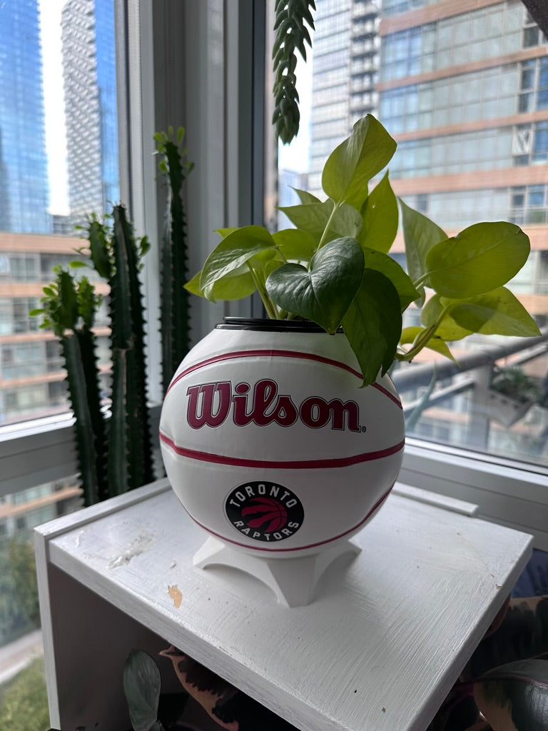 Mini Basketball Planter (Toronto Raptors Autograph)