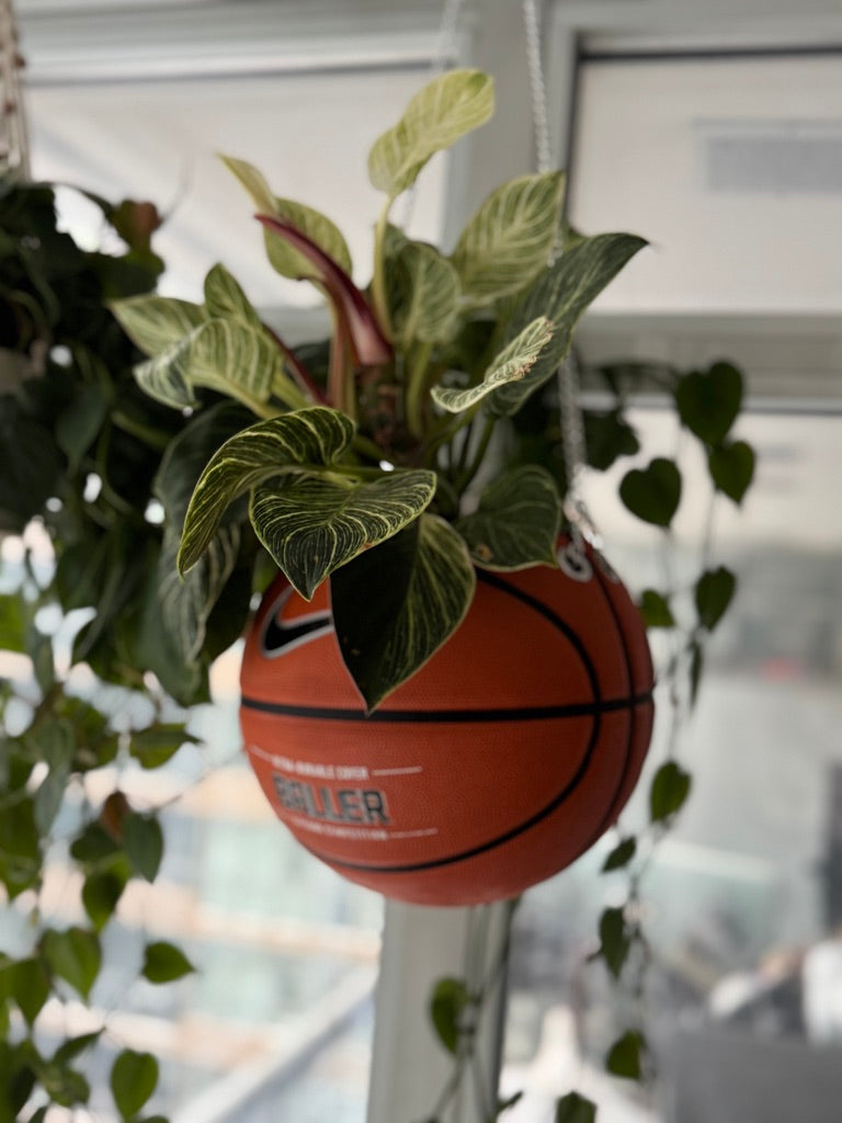 Nike Large Basketball Hanging Planter (Baller - Silver Chain)