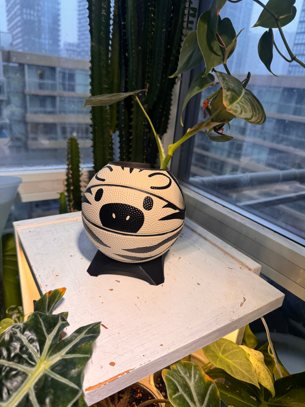 Ultra-Mini Basketball Planter (Zebra)