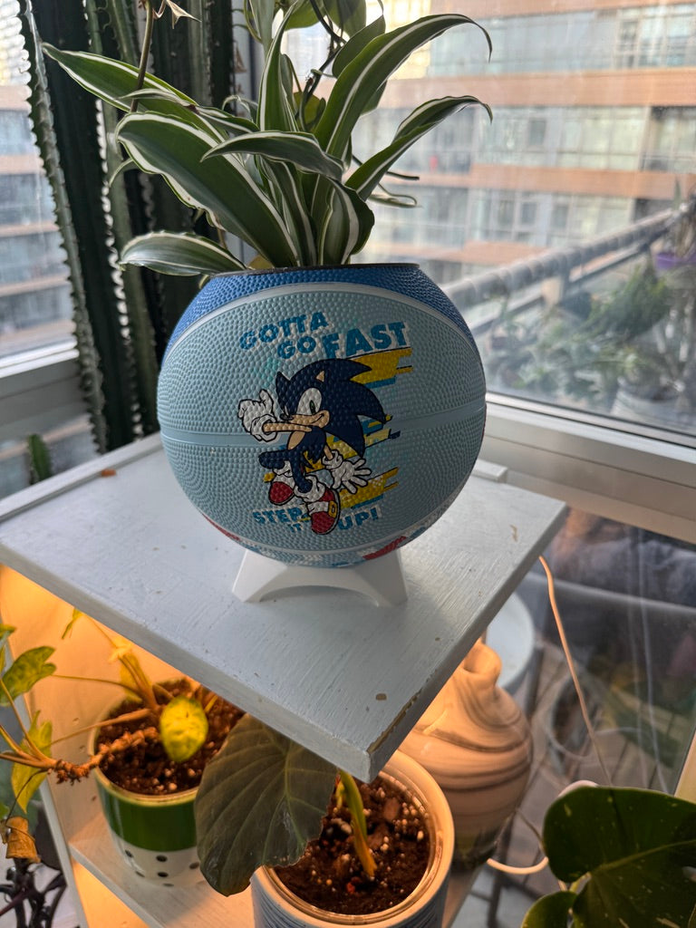 Mini Basketball Planter (Sonic the Hedgehog)