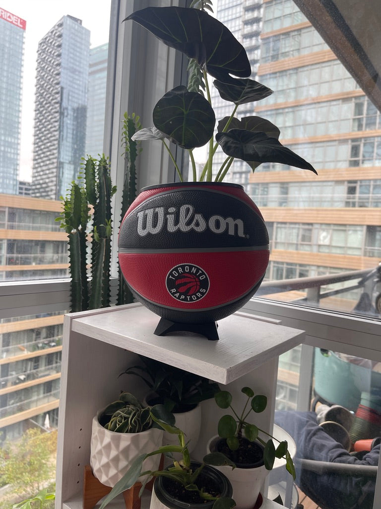 Large Basketball Planter (Toronto Raptors)
