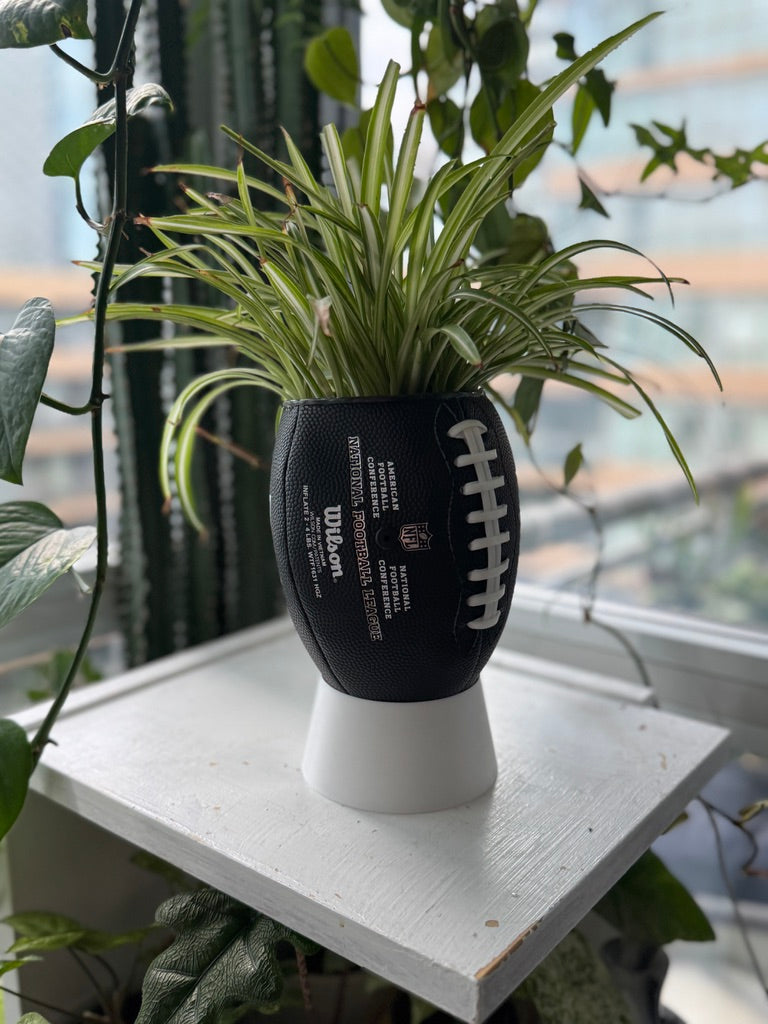 Mini Football Planter (The NFL OG - Black)