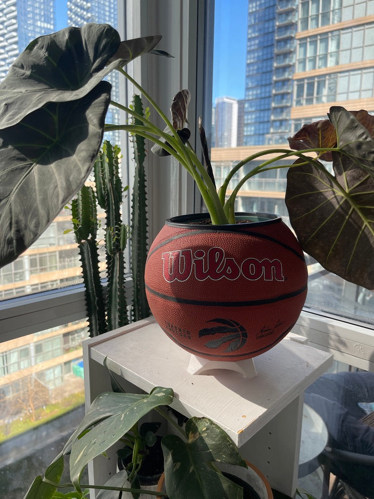Large Basketball Planter (Toronto Raptors Original)