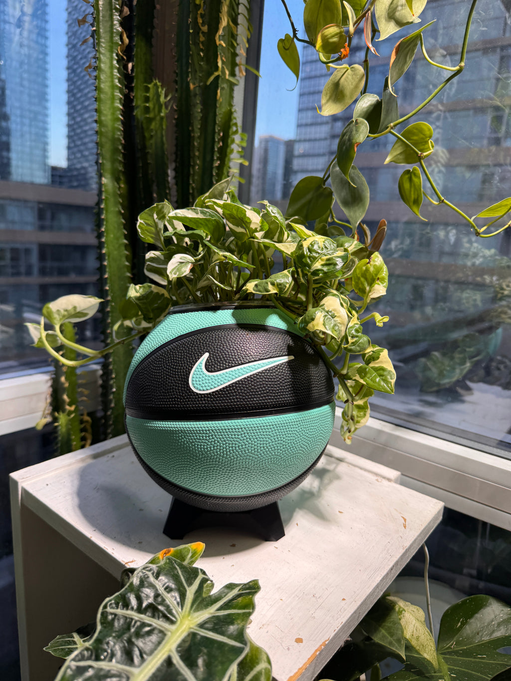 Nike Mini Basketball Planter (Tiff Blue & Black)