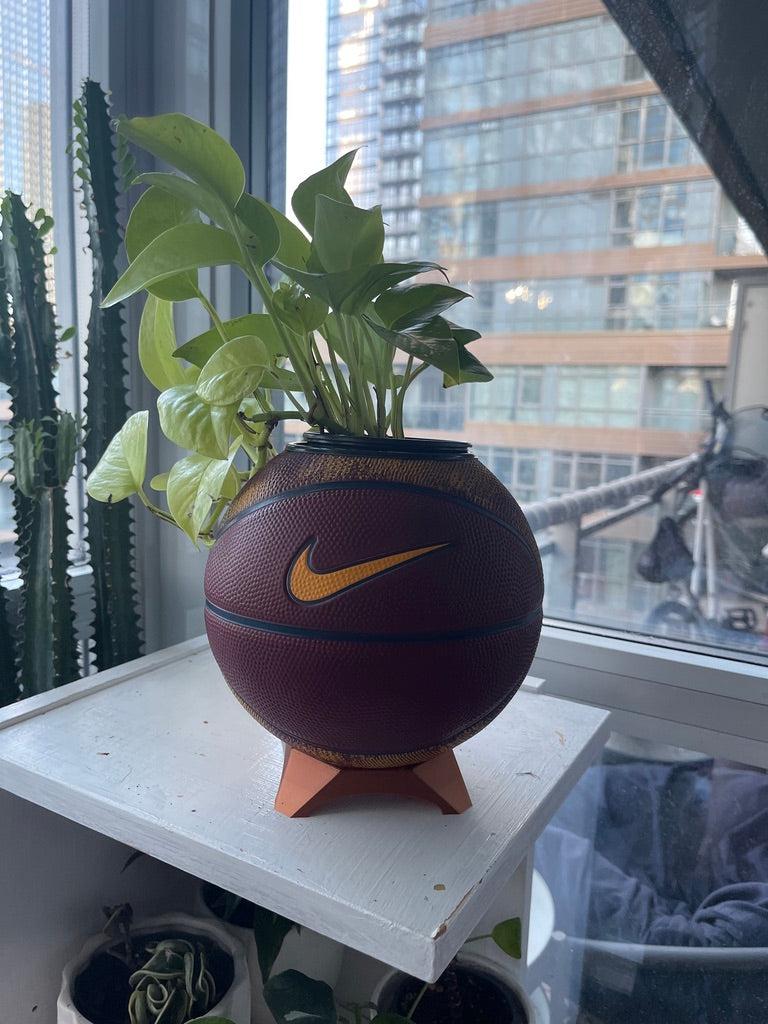 Nike Mini Basketball Planter (Lebron James)