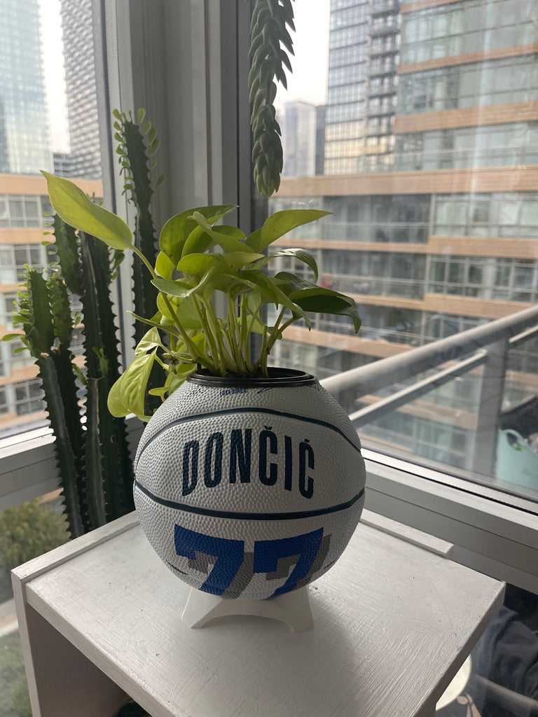 Mini Basketball Planter (Luka Doncic)
