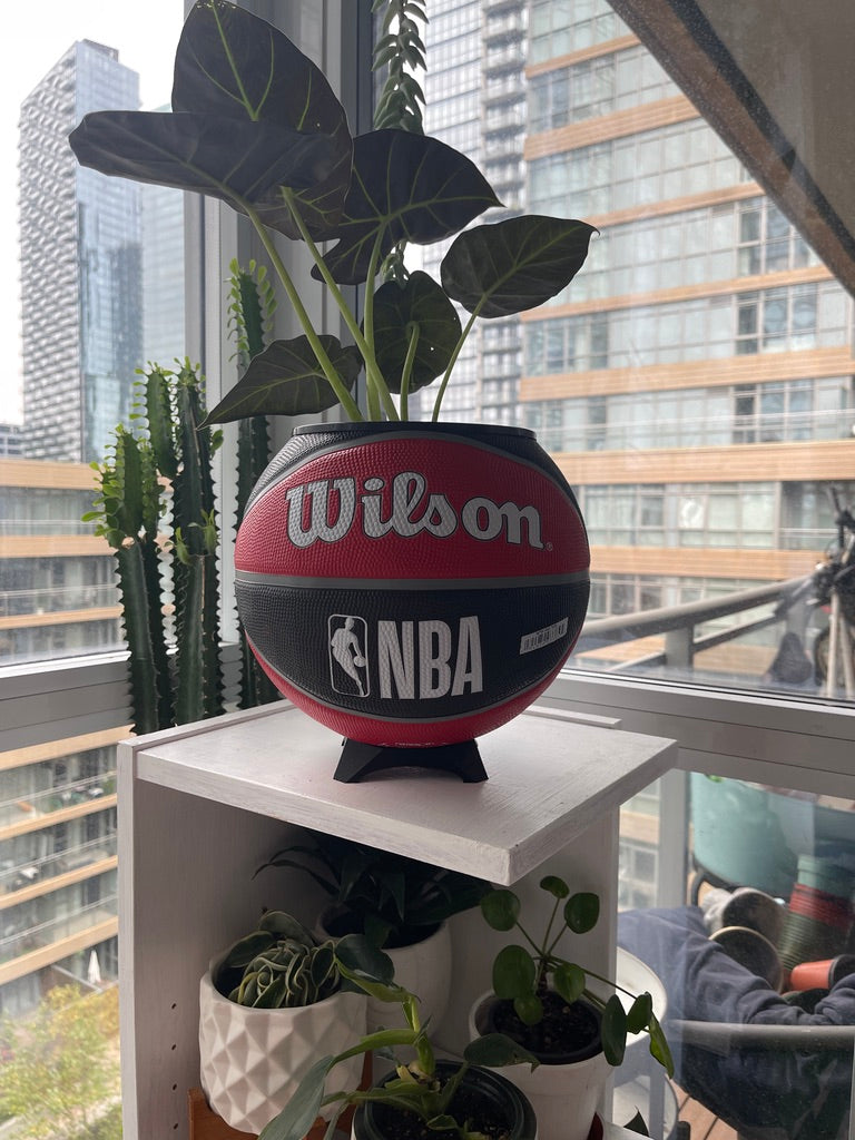 Large Basketball Planter (Toronto Raptors)