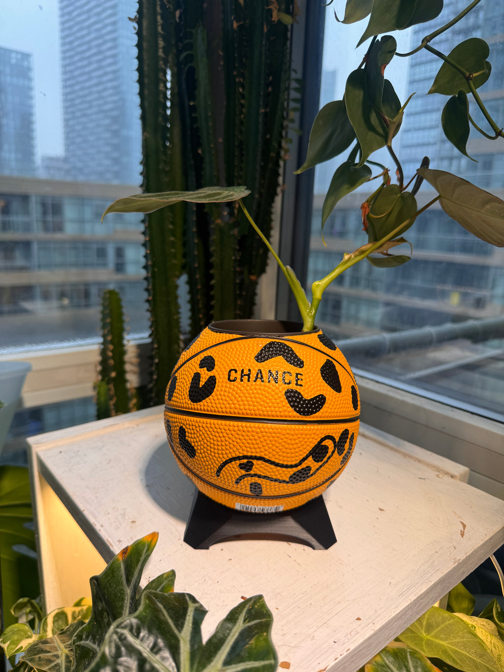 Ultra-Mini Basketball Planter (Cheetah)