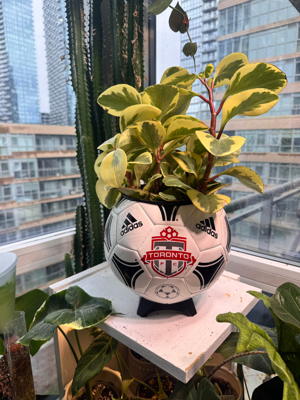Large Soccer Ball Planter (Toronto FC)