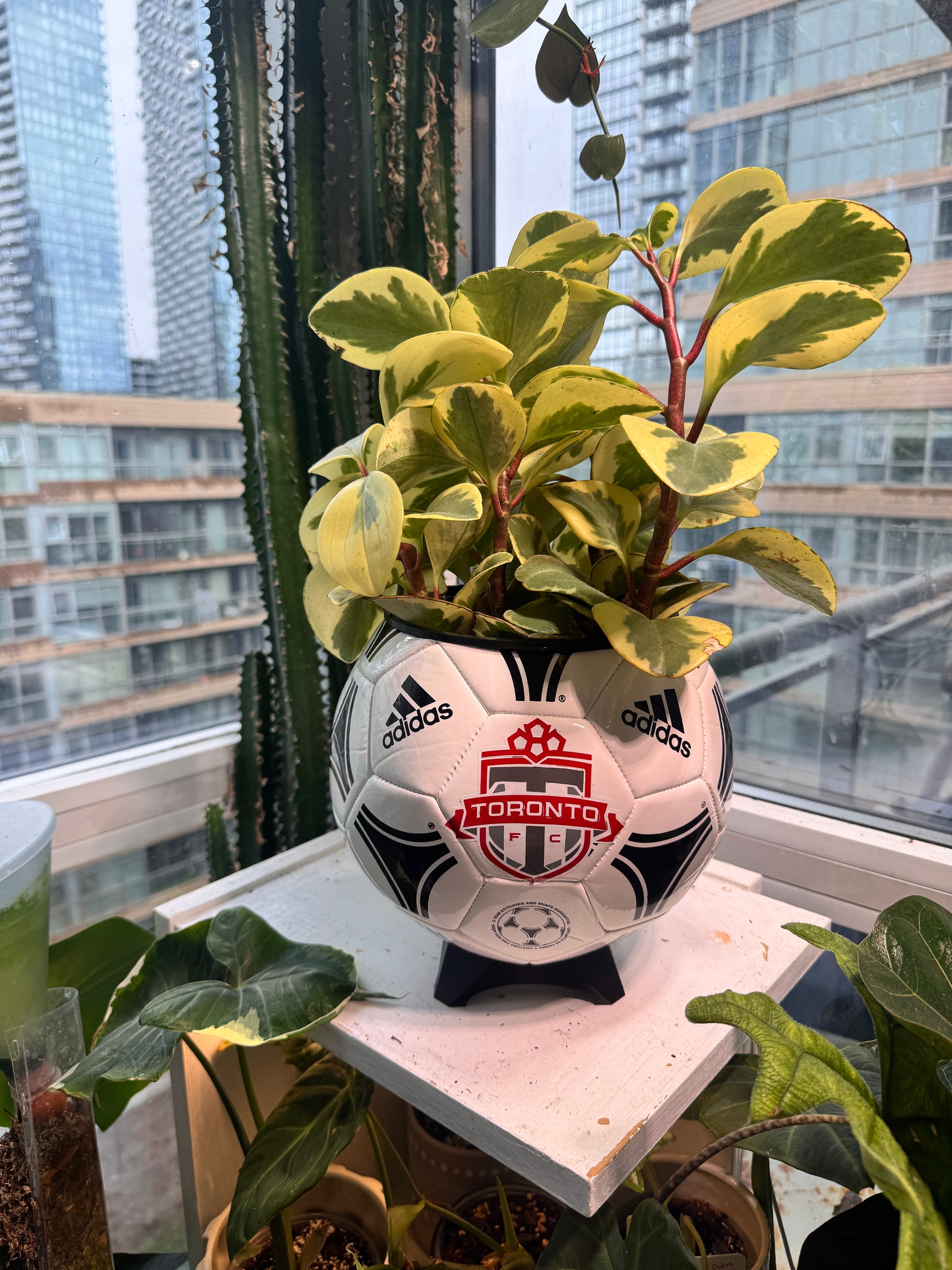 Large Soccer Ball Planter (Toronto FC)