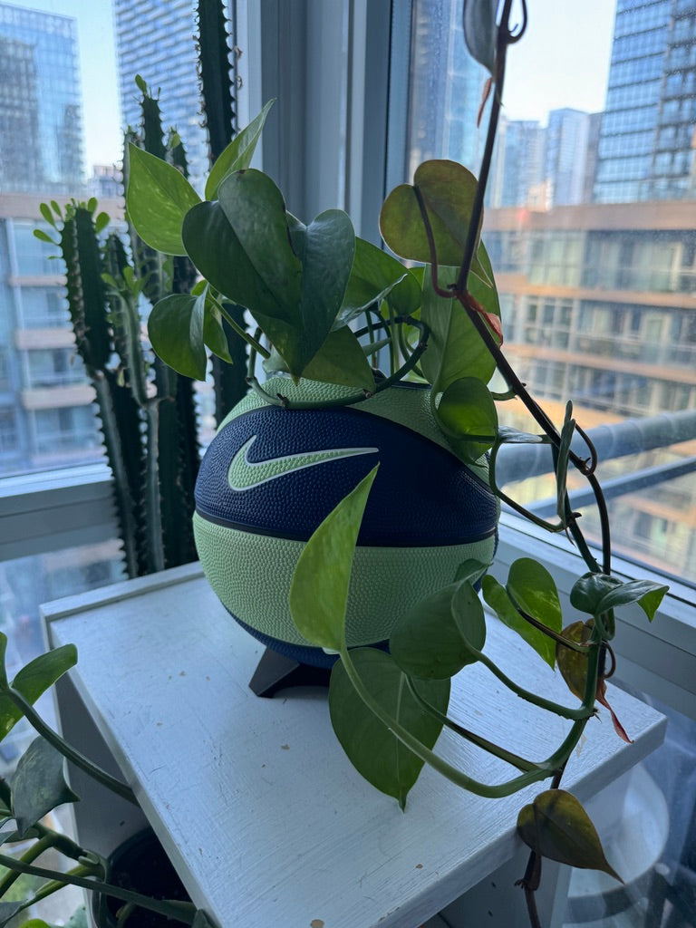 Nike Mini Basketball Planter (Blueberry Lime)
