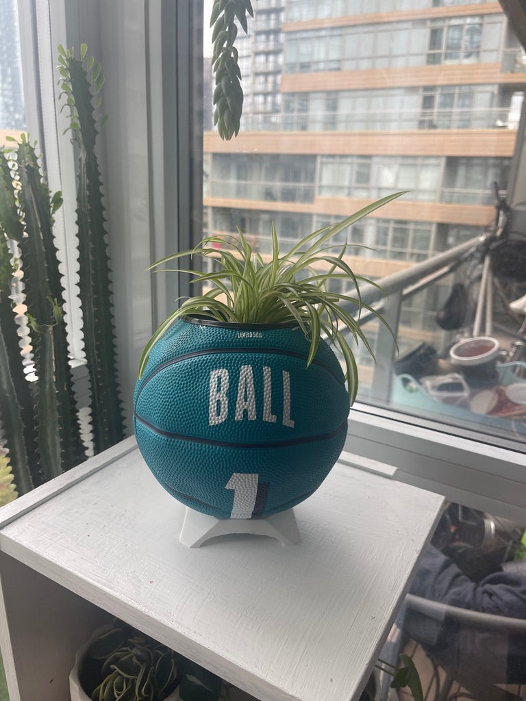 Mini Basketball Planter (Lamelo Ball)