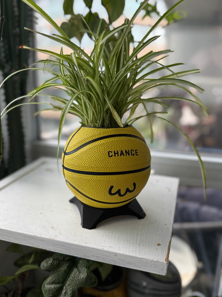 Ultra-Mini Basketball Planter (Chicken)