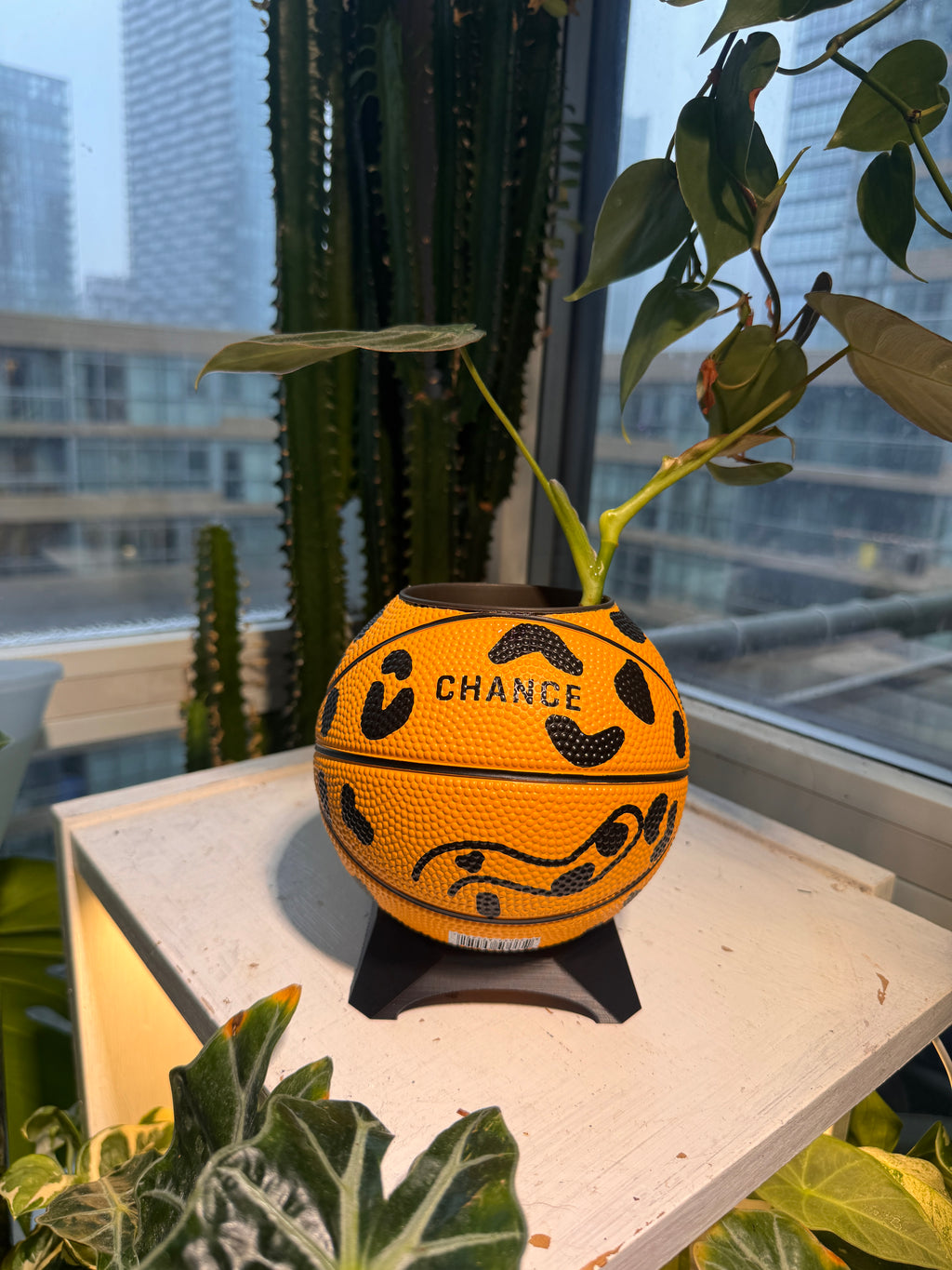 Ultra-Mini Basketball Planter (Cheetah)