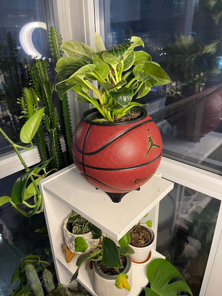 Nike Jordan Large Basketball Planter (Red Diamond)