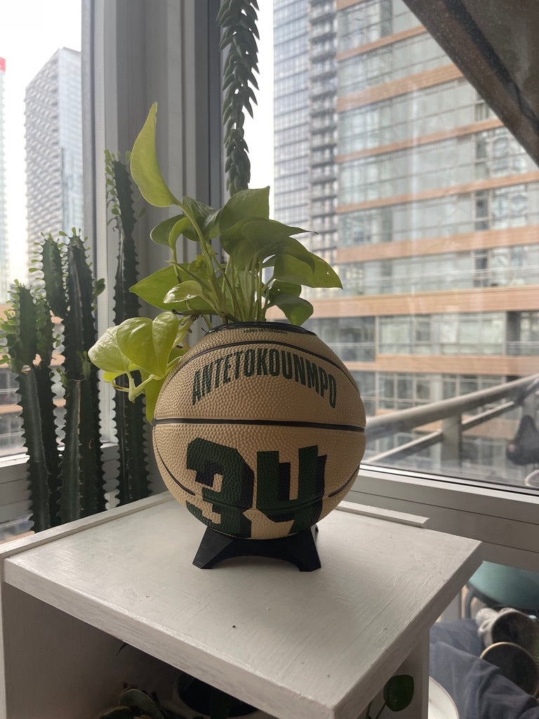 Mini Basketball Planter (Giannis Antetokounmpo)