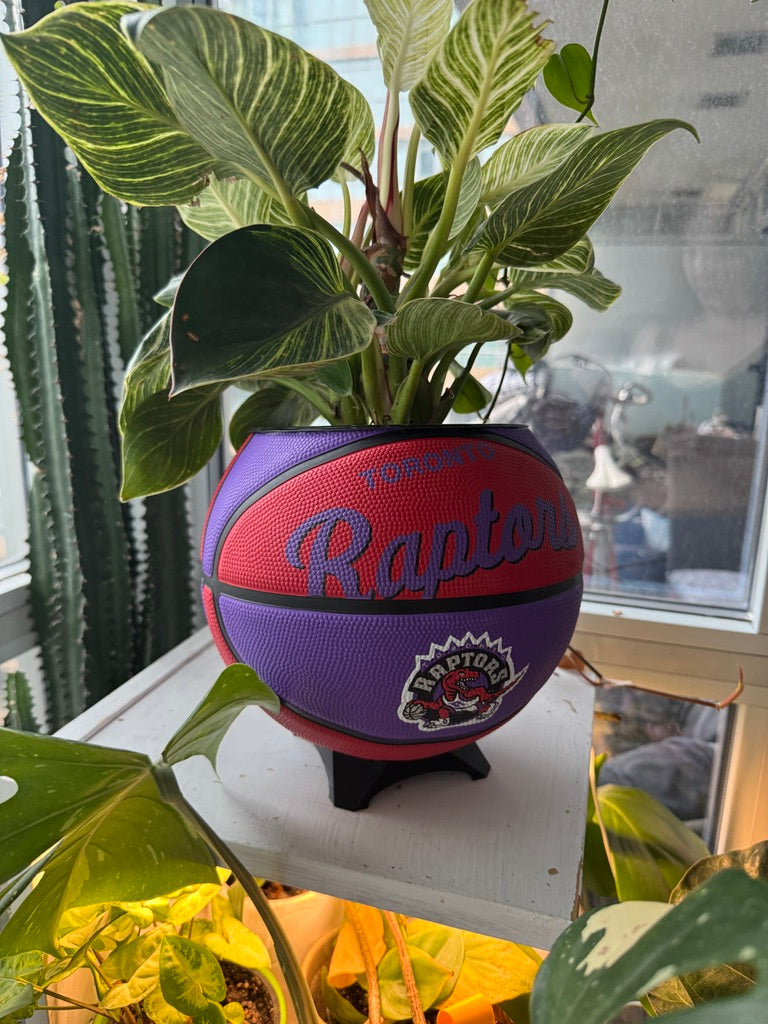 Large Basketball Planter (Toronto Raptors)