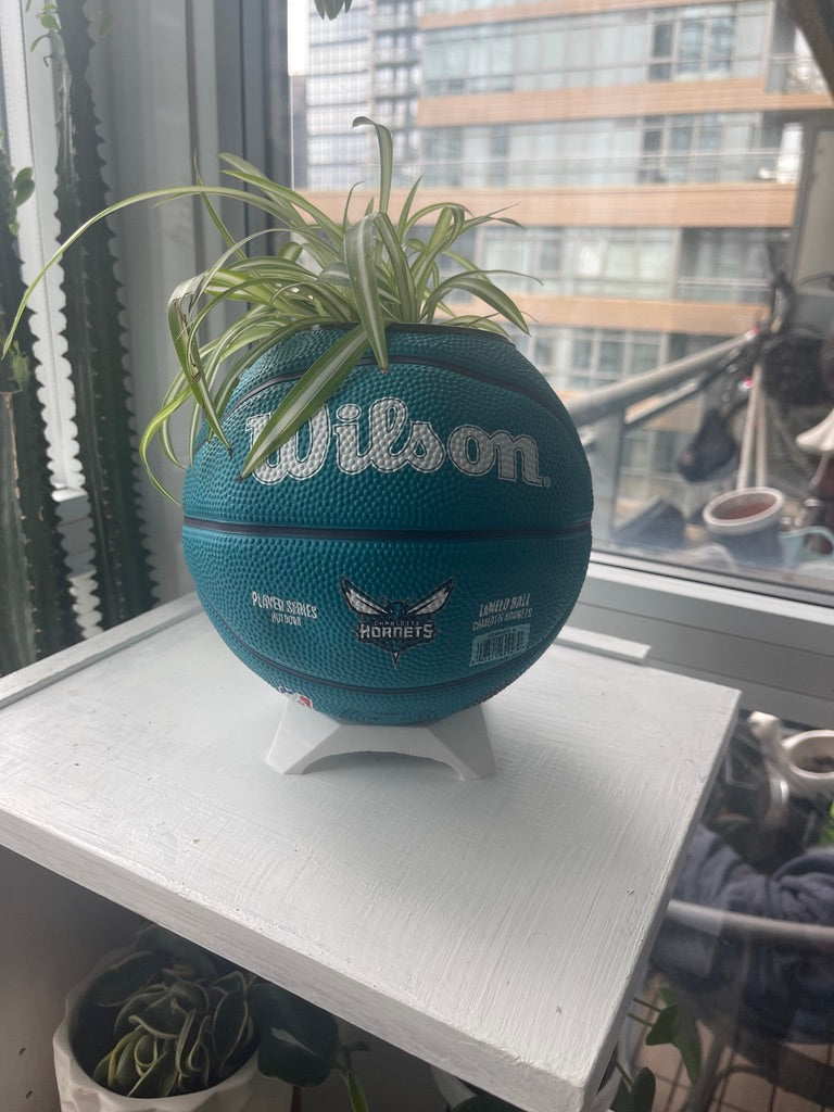 Mini Basketball Planter (Lamelo Ball)