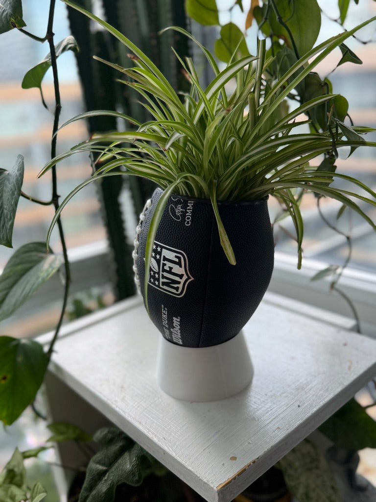 Mini Football Planter (The NFL OG - Black)