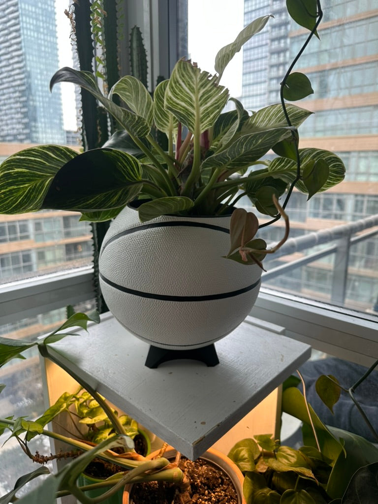 Nike Large Basketball Planter (White & Black)