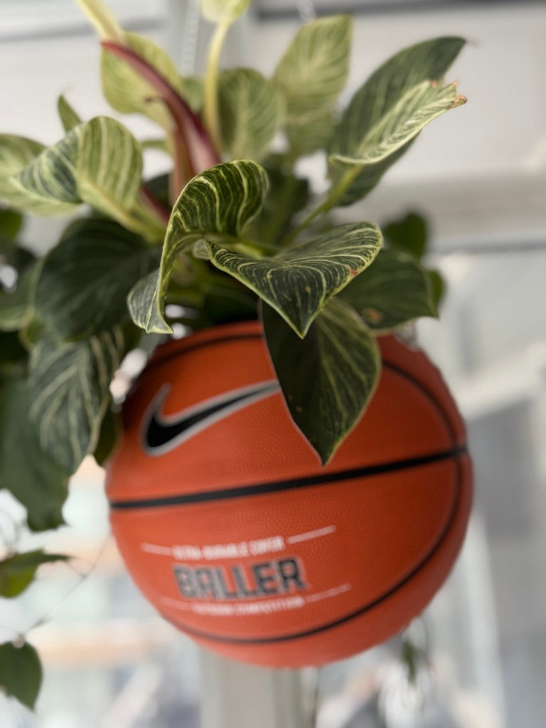 Nike Large Basketball Hanging Planter (Baller - Silver Chain)