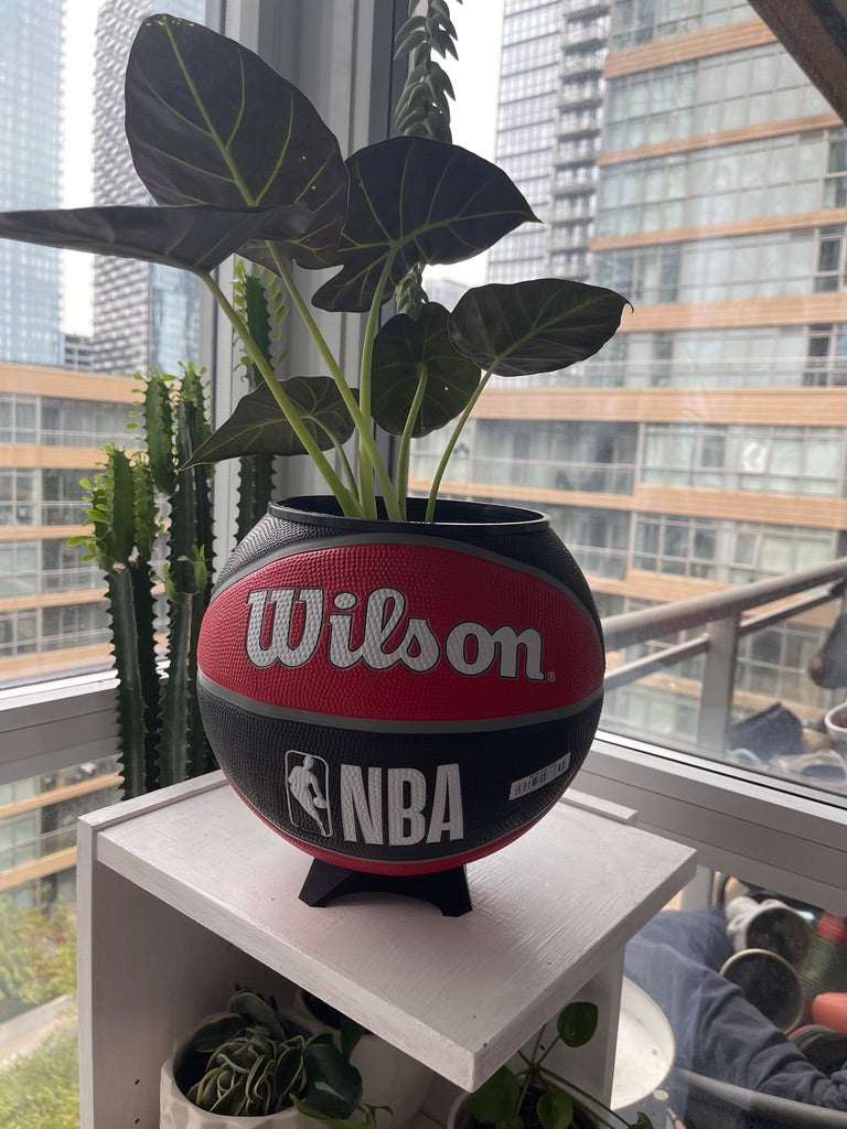 Large Basketball Planter (Toronto Raptors)