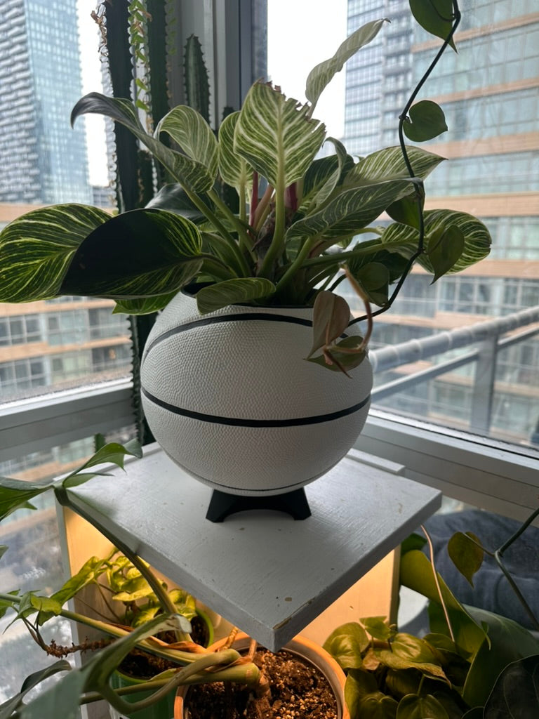 Nike Large Basketball Planter (White & Black)