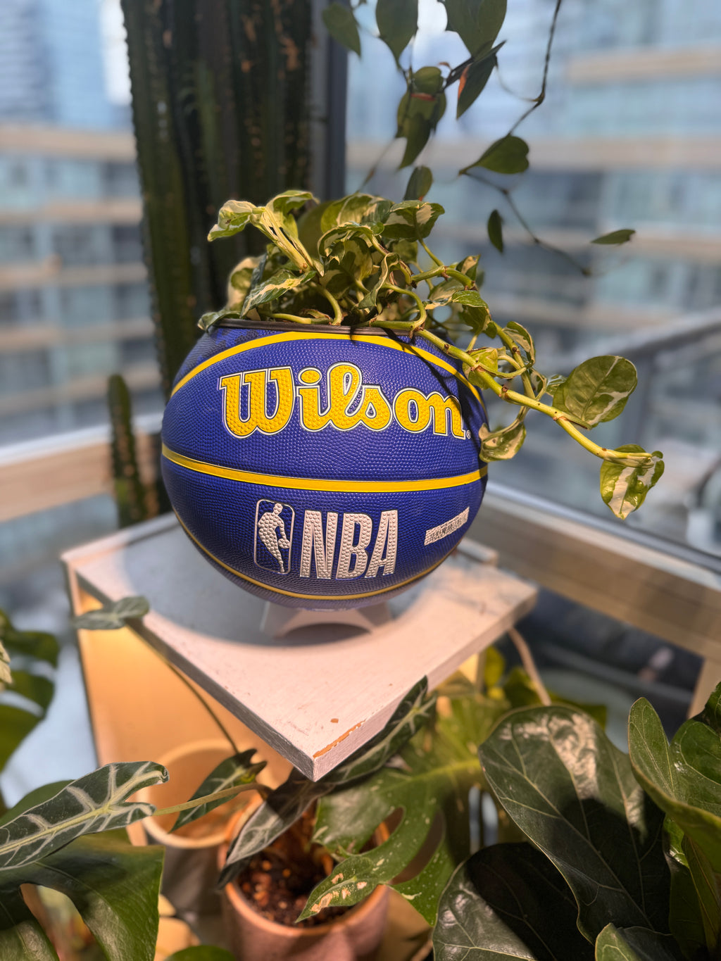Large Basketball Planter (Golden State Warriors)