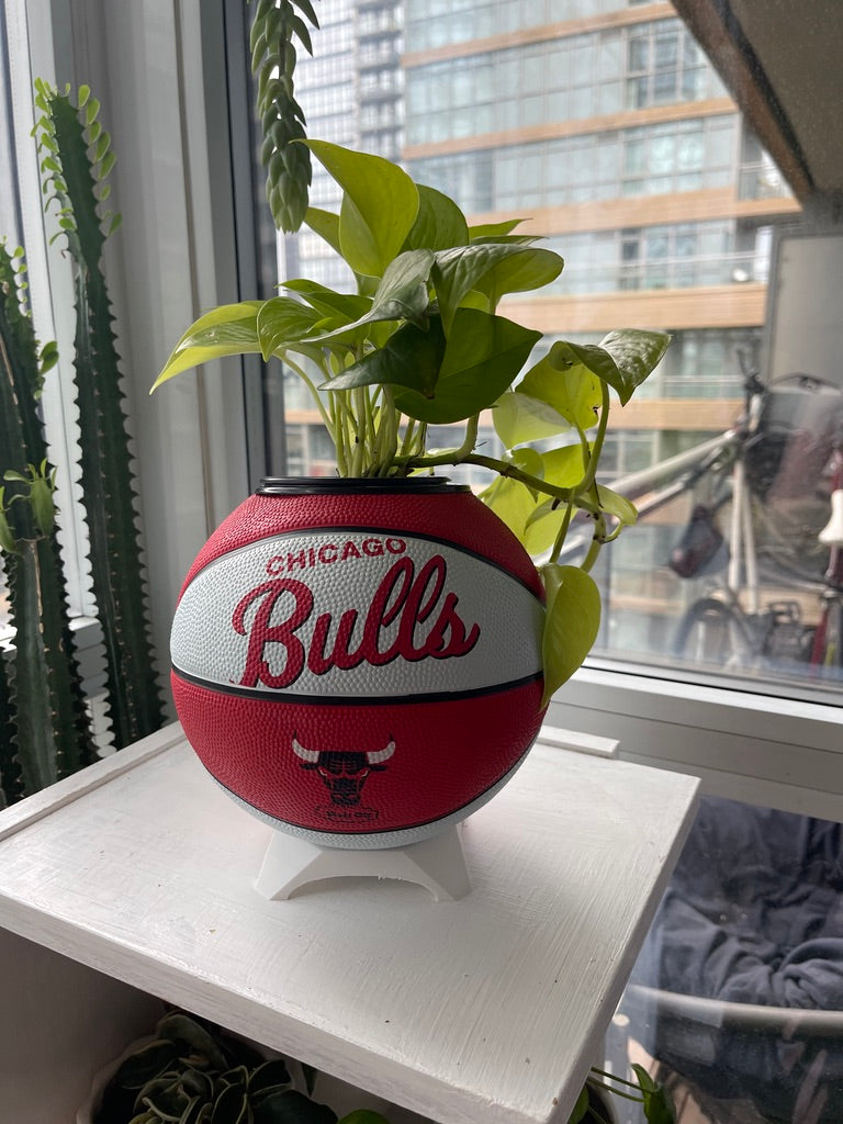 Mini Basketball Planter (Chicago Bulls)