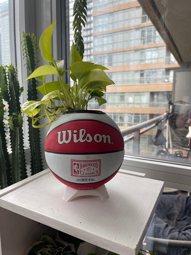 Mini Basketball Planter (Miami Heat)
