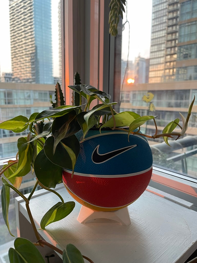 Nike Mini Basketball Planter (Team Orange)