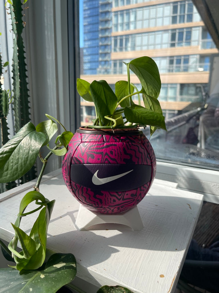 Nike Mini Volleyball Planter (Grape Juice)